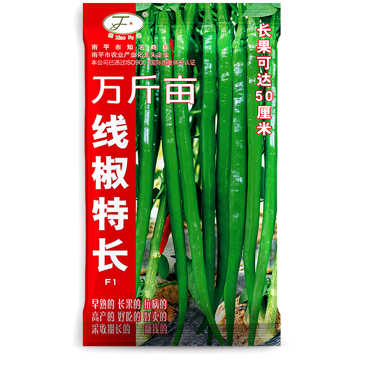 線(xiàn)椒特長(cháng)