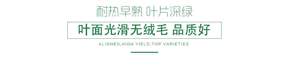 1585789364817140.jpg 03.jpg