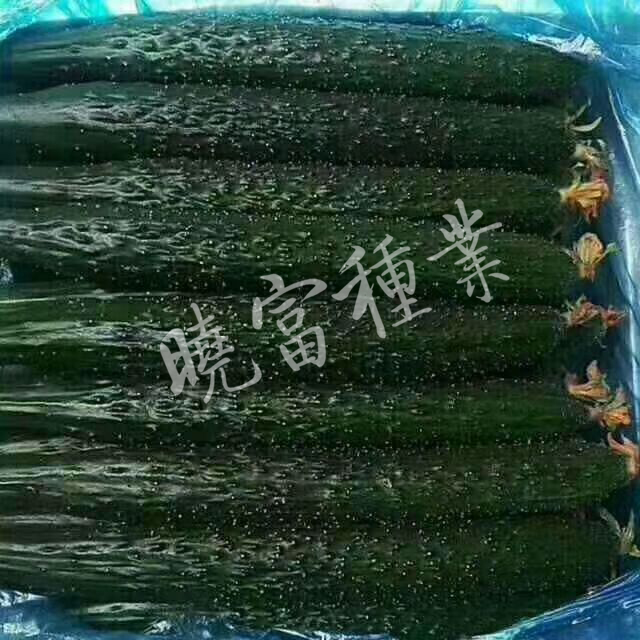 1585989639412560.jpg 04.jpg